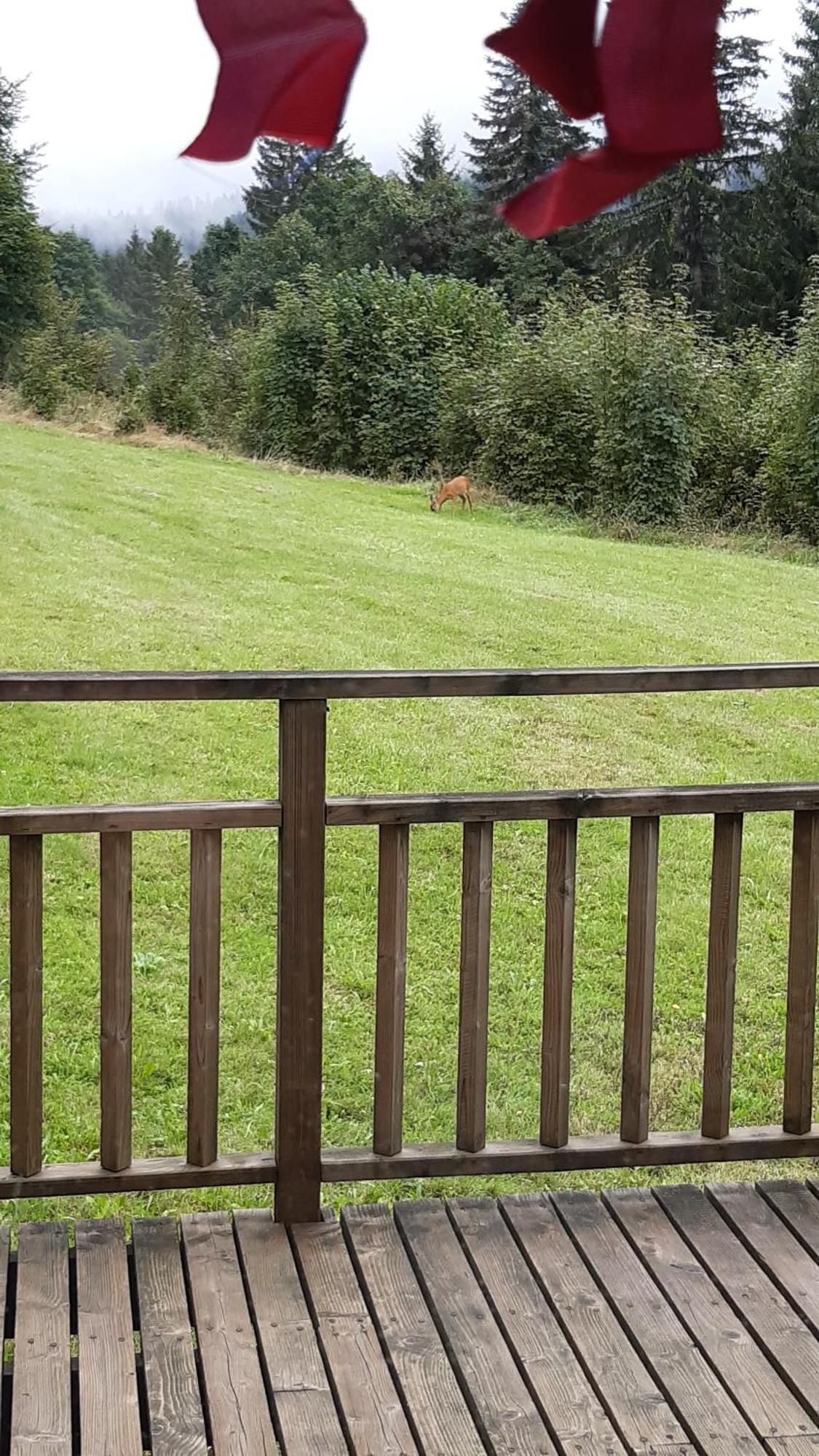 Les Angeliques Apartman Gérardmer Kültér fotó